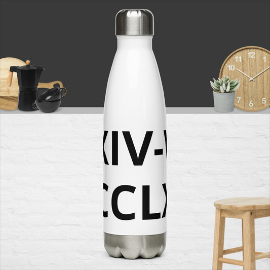 Stainless steel water bottle